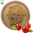 Best Price Wholesale Crataegus Pinnatifida Extract